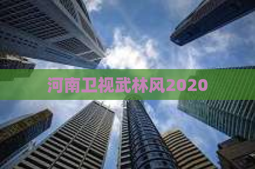 河南卫视武林风2020 第1张